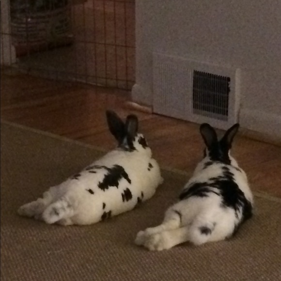 Meet your Posher, Becca - Picture 6 of 6